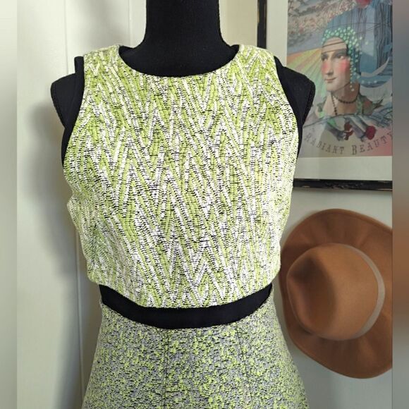 Proenza Schouler Chic Luxury Art to Wear Modern Tailored Feminine Dress 6 - Picture 4 of 12